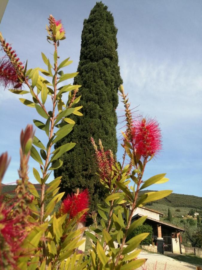 Vila Borgo Buciardella Baschi Exteriér fotografie