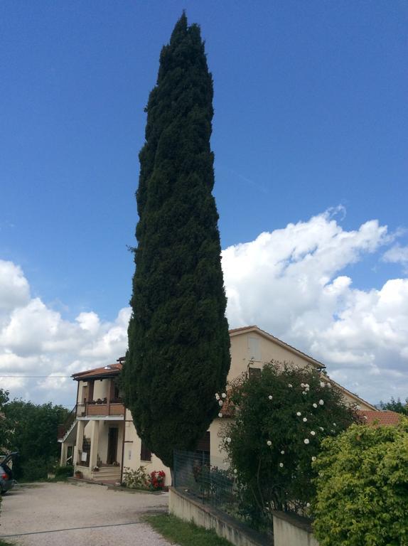 Vila Borgo Buciardella Baschi Exteriér fotografie