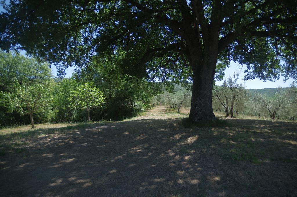 Vila Borgo Buciardella Baschi Exteriér fotografie