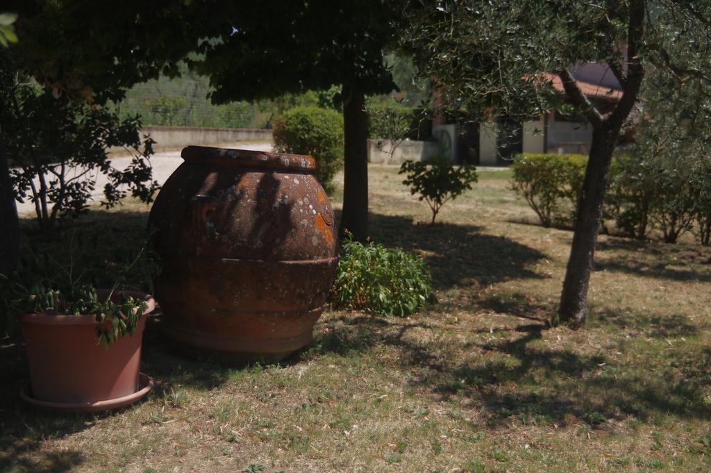 Vila Borgo Buciardella Baschi Exteriér fotografie