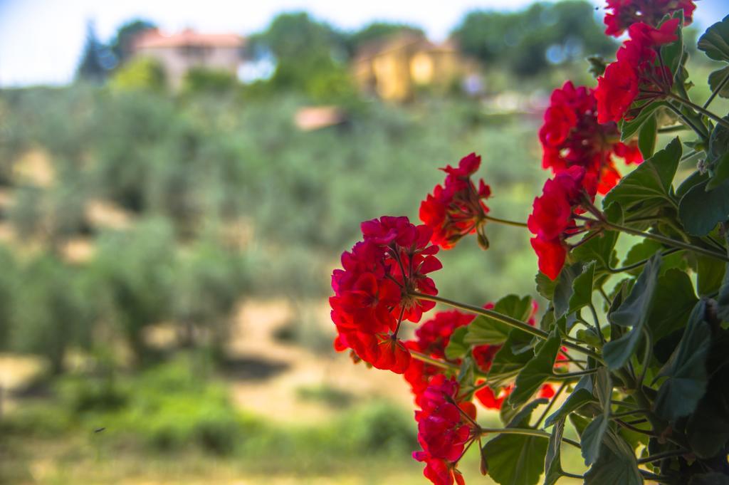 Vila Borgo Buciardella Baschi Exteriér fotografie